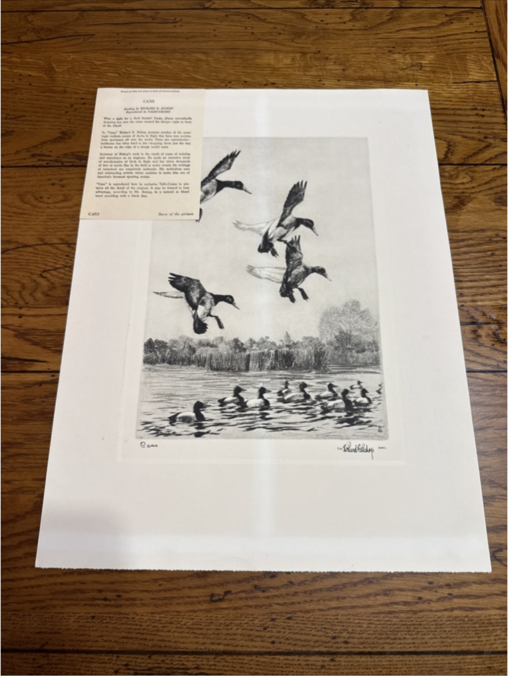 Ducks Unlimited Richard Bishop reproduction print vintage